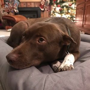 Meet your Posher, Elisabeth